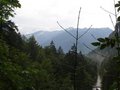 Wandern 13.8.07 Ebensee-Gasselhöhle 26180858