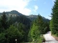 Wandern 13.8.07 Ebensee-Gasselhöhle 26181631