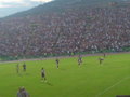 FK Sarajevo vs. Dynamo Kyiv 27186661