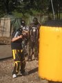 Paintball in Salzburg 28996962