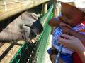 Tierparkausflug mit Tante Mely u.Oma 9354076