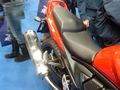 Motoad Show 2010 71481669