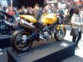 Motoad Show 2010 71481739