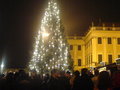 ChristkindLmarkt ((: 14203731