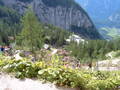 @ Dachstein 7965771