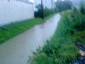 hochwasser in gleink dornach.... 61789538