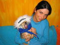 Meine Chihuahuahündin Tinkerbell 50200431