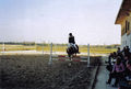 Reiten^^ 50103969