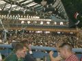 Oktoberfest München 2008 53550703