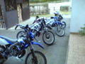 Hoinstoana Mopedgang 35538693