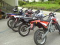 Hoinstoana Mopedgang 41651904