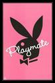 Playboy 4-ever 28326740