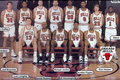 Chicago Bulls 10917312