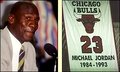 Chicago Bulls 10917532