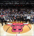 Chicago Bulls 10962652