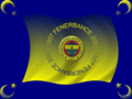 Fenerbahcem 20150797