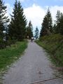 Tirol 2009 61298215