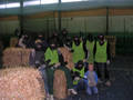 Paintball 9522802