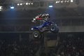 Night of the Jumps - best of 15974294