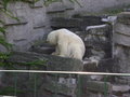 °*°Tiergarten Schönbrunn 31 25111491