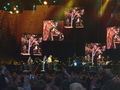 Bon Jovi 2008 38740745