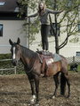 *Reiten* 11509840