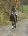 *Reiten* 11509849