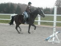 *Reiten* 11510303