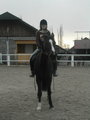 *Reiten* 11510307