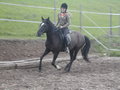 *Reiten* 11511616