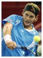 Joachim Johansson und Andy Roddick 29453660