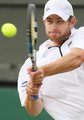 Joachim Johansson und Andy Roddick 29453899