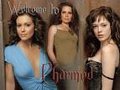 Charmed 12847674