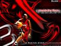 Lieblings Baskettballer Dwayne Wade 9299667