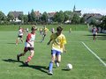 Die Ungeschlagene U17 Mannschaft 21866648