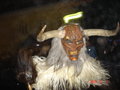 krampus-umzug in gaschtn 12400303