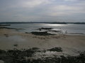 St. Malo 10245956