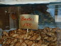 Mallorca 2005 1647277