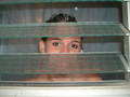 Mallorca 2005 1893633
