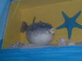 Mallorca 2005 1893648