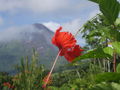 ~Costa Rica~ 41986405