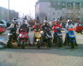 Moped Gang 7780699