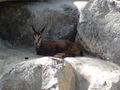 Innsbruck 09 67244865