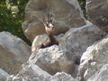 Innsbruck 09 67244872