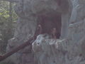 Innsbruck 09 67244921