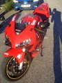 Honda CBR 600RR 10147120