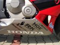 Honda CBR 600RR 10147137