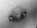 Mei Brustwarzenpiercing 52157950