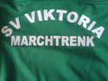 SV Viktoria Marchtrenk 8931219