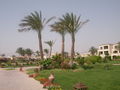 Agypten; Sharm el Sheikh 45202076